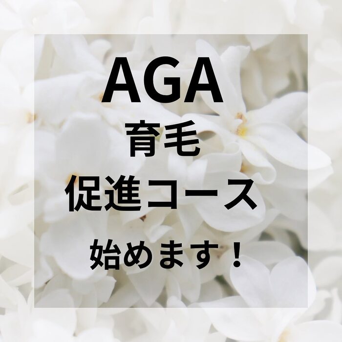 画像311